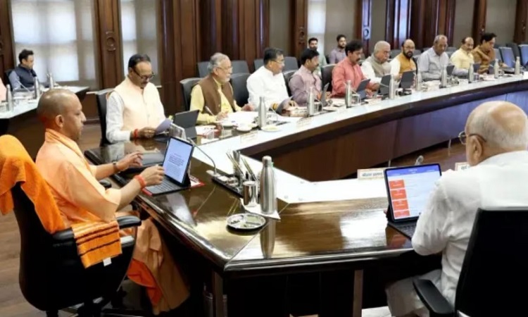 Yogi Cabinet
