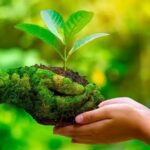 World-Environment-Day