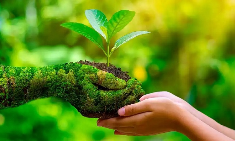 World-Environment-Day