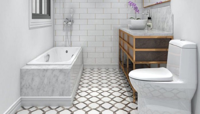 bathroom-hygine