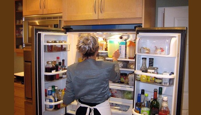fridge