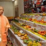CM-Yogi-2-1