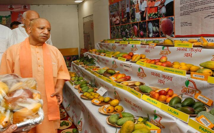 CM-Yogi-2-1