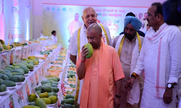 CM-Yogi-3