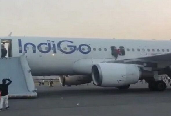 Indigo