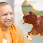Mini-Nandini-Krishak-Samriddhi-Yojana