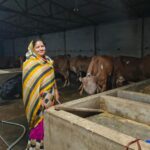 Nandani-Yojana