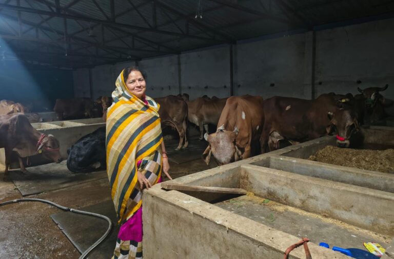 Nandani-Yojana