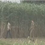 Shikohabad-Encounter