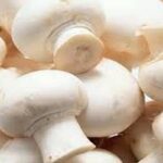 mushroom