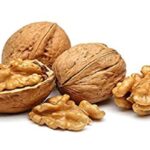 walnut