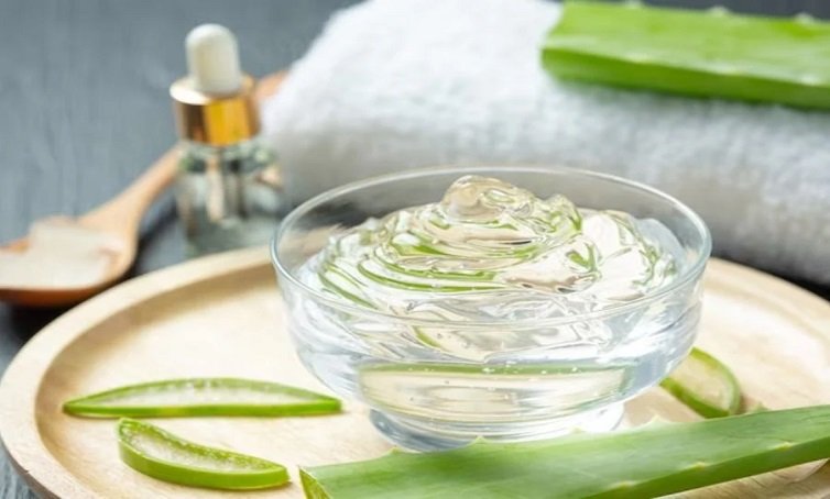 Aloe-Vera