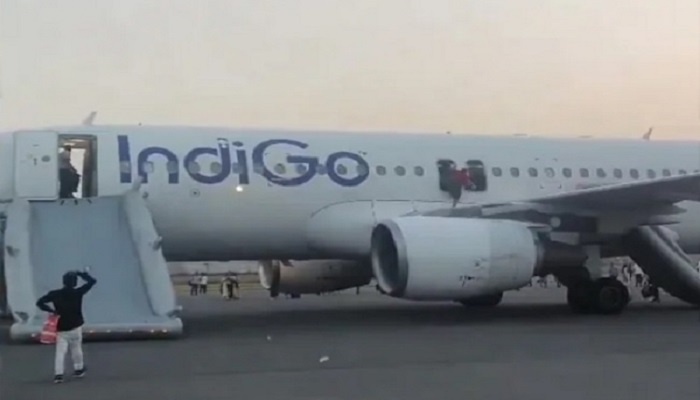 Indigo
