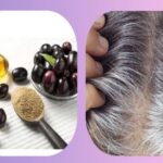 Jamun-Seeds-for-Grey-Hair