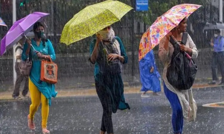 Monsoon