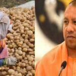 Portal-Launched-for-Potato-Farmers
