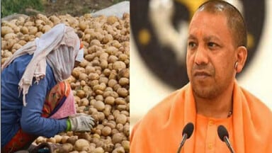 Portal-Launched-for-Potato-Farmers