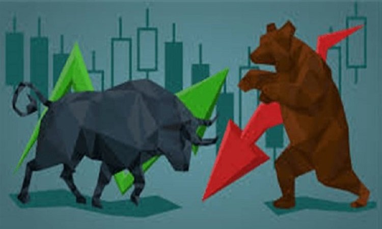 Share-Market