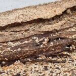 Termites