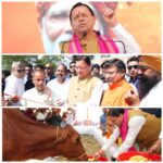 CM Dhami