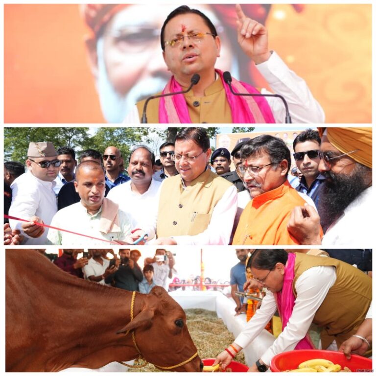 CM Dhami