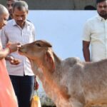 CM-Yogi-19