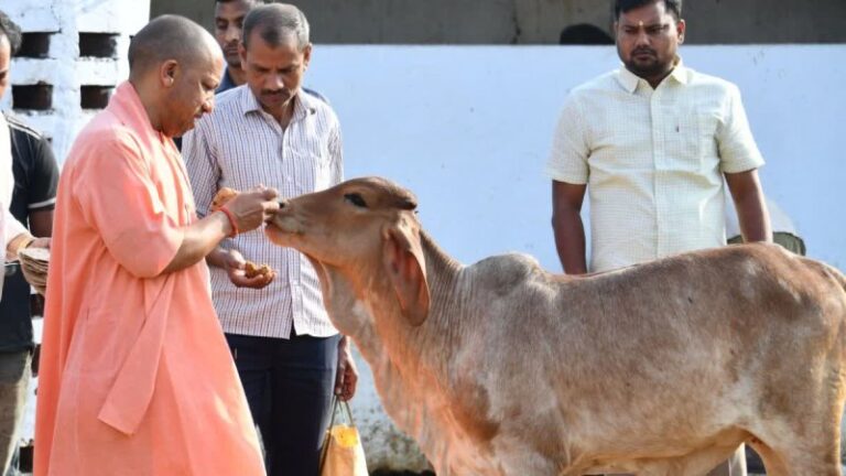 CM-Yogi-19