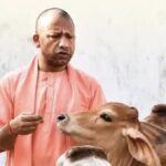 CM Yogi