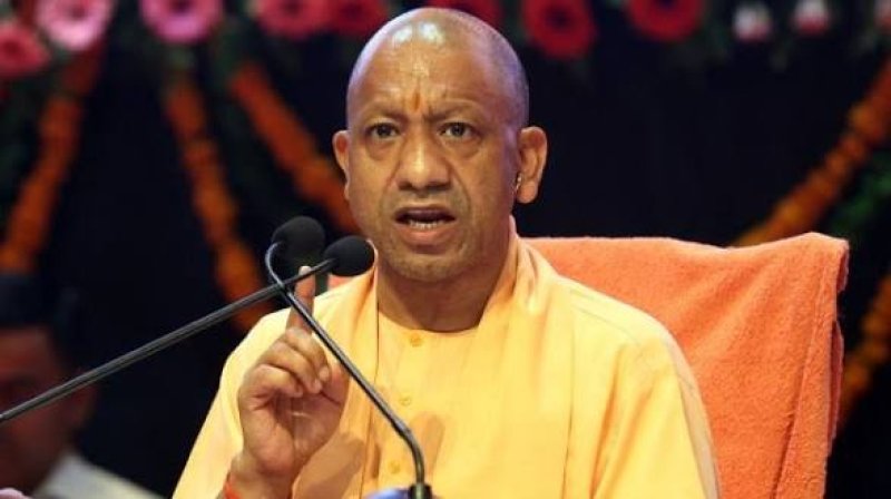 CM-Yogi-7-1